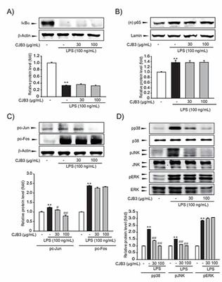 诸城手游代理推荐 一站式网络技术服务指南